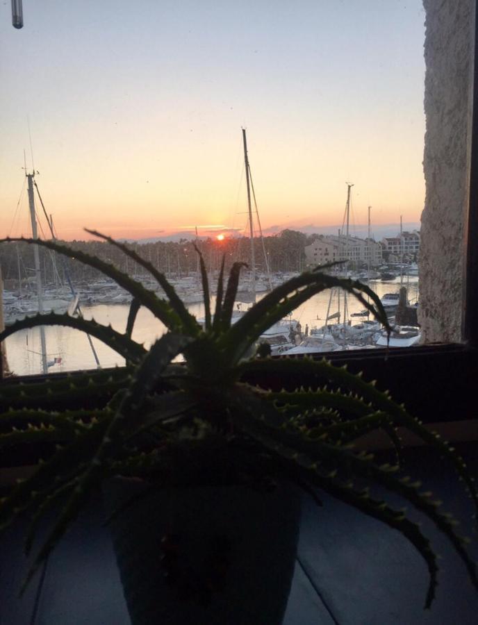Ferienwohnung Petit Cocon Magnifique Vue Sur Marina Dans Le Golfe De Saint Tropez Cogolin Exterior foto