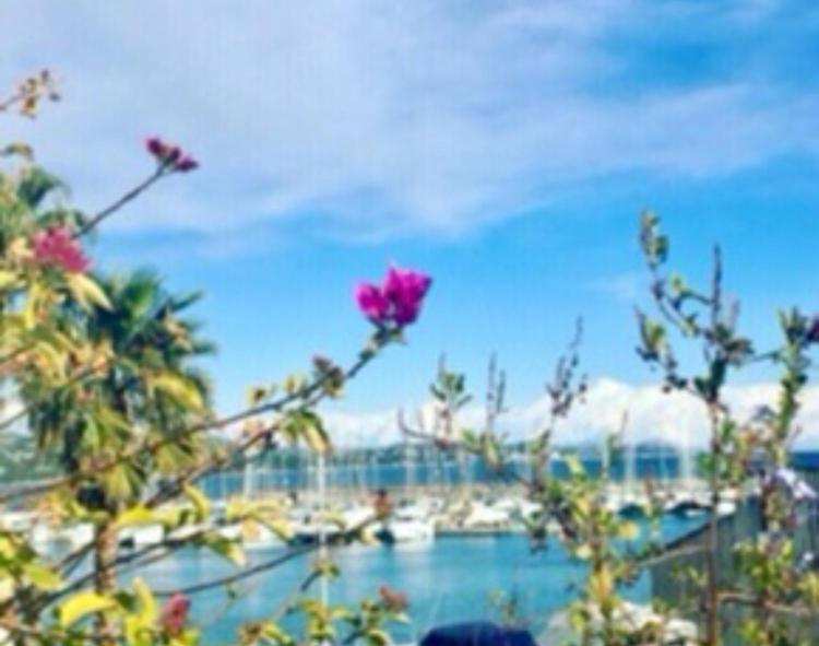Ferienwohnung Petit Cocon Magnifique Vue Sur Marina Dans Le Golfe De Saint Tropez Cogolin Exterior foto