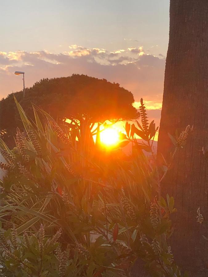 Ferienwohnung Petit Cocon Magnifique Vue Sur Marina Dans Le Golfe De Saint Tropez Cogolin Exterior foto