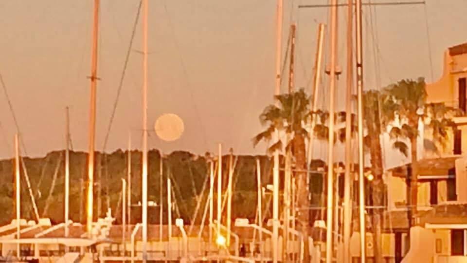 Ferienwohnung Petit Cocon Magnifique Vue Sur Marina Dans Le Golfe De Saint Tropez Cogolin Exterior foto